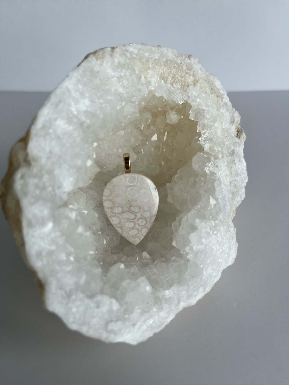Ancient Oceans Fossilized Coral Teardrop Pendant